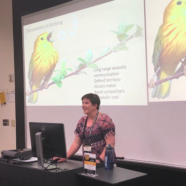 Abigail Hayes, Audiology & Speech-Language Sciences: "Accents Matter: Behavioral Responses to Local and Nonlocal Dialects in Four Colorado Wren Species"